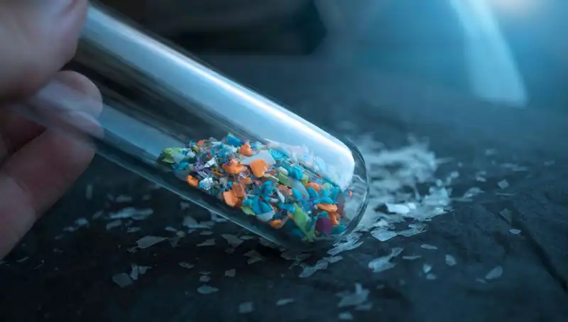 Mikroplastikler, İnsan Beyninde Sarsıcı Etkilere Yol Açıyor!
