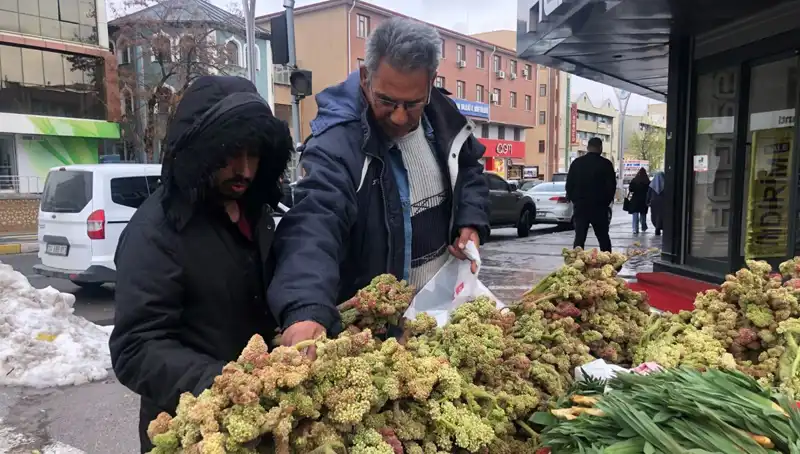 Kanser Tedavisinde Yeni Umut: Kendiliğinden Yetişen Vitamin Deposuna Dikkat!