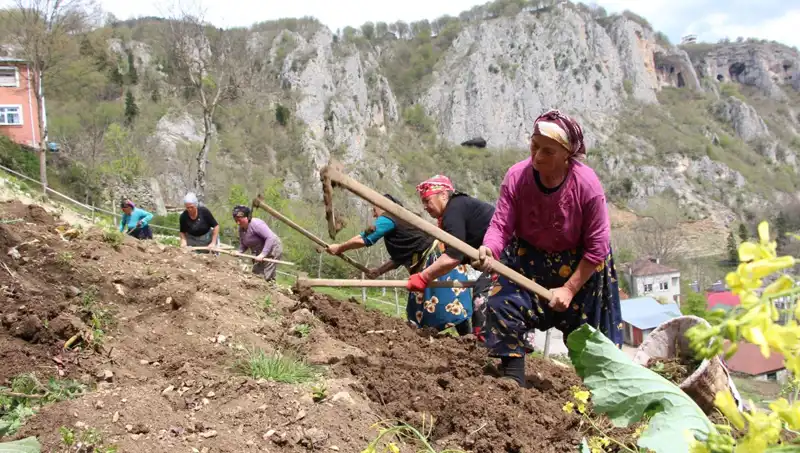 Zorlu Mesai Başladı: Sırtlarında Sepetler, Ellerinde Kazmalarla Çalışanlar Neler Yapıyor?