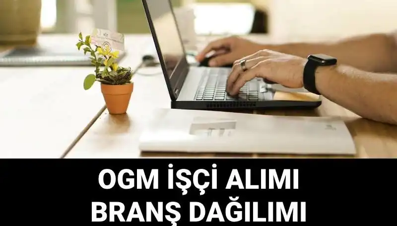 Orman Genel Müdürlüğü'nden 4500 Geçici İşçi Alımı İlanı: Başvuru Şartları ve Süreç