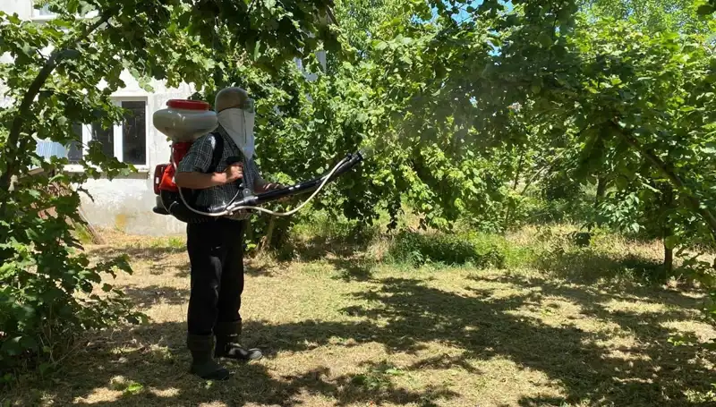 Çiftçinin Umudunu Yeşerten Kükürt ve Samuray Arısı: Tarımda Devrim Mi Geliyor?