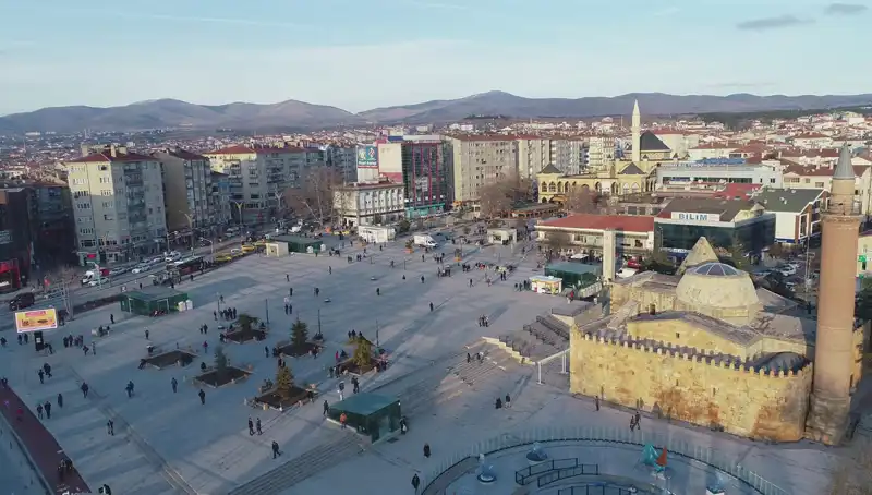 Kırşehir'de Bilim Dünyasını Sarsan Yeni Bir Böcek Türü Keşfedildi!