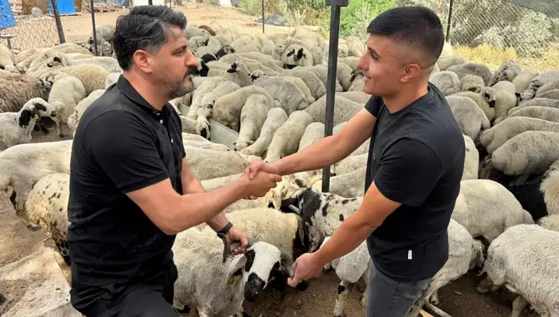 Kurbanlık Hayvan Alırken Dikkat: Tuz ve Sumak Kullanımının Etkileri