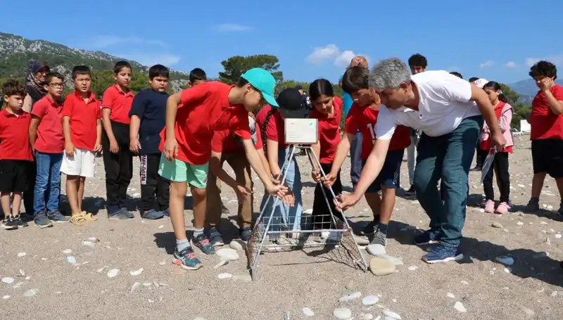 Kemer'de Caretta Caretta Yasakları Başladı: Denizin Koruyucuları İçin Önlemler Alındı