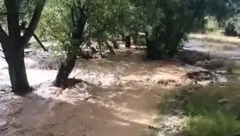 Mersin'de Sağanak Yağış Hayatı Olumsuz Etkiledi: Sele Dönüşen Yağmur