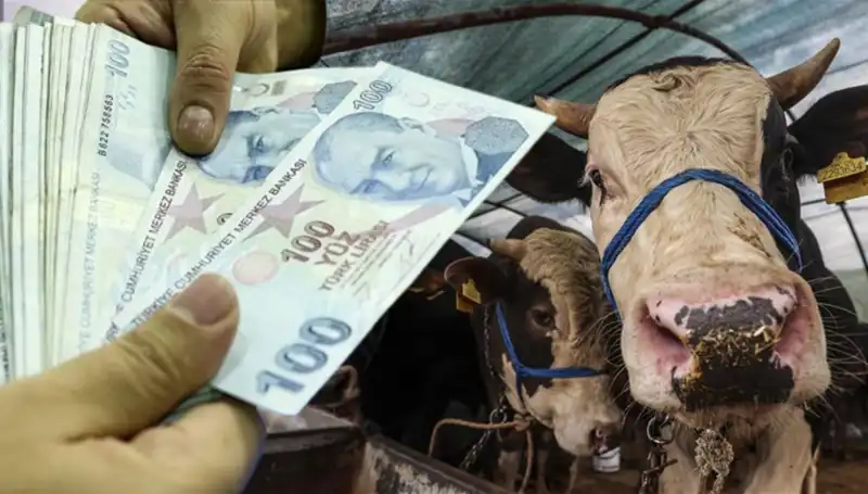 Bayram Öncesi Maaşlar Yatacak mı? Emekli ve Memurlar Neler Bekliyor?
