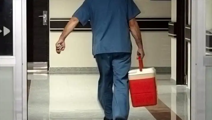 Organ Bağışında Devrim: e-Devlet ve e-Nabız İle Kolaylık Sağlıyor