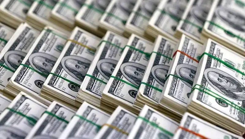 Dolar Yükselişi Hızla Devam Ediyor: Ekonomi Uzmanlarından Önemli Uyarılar