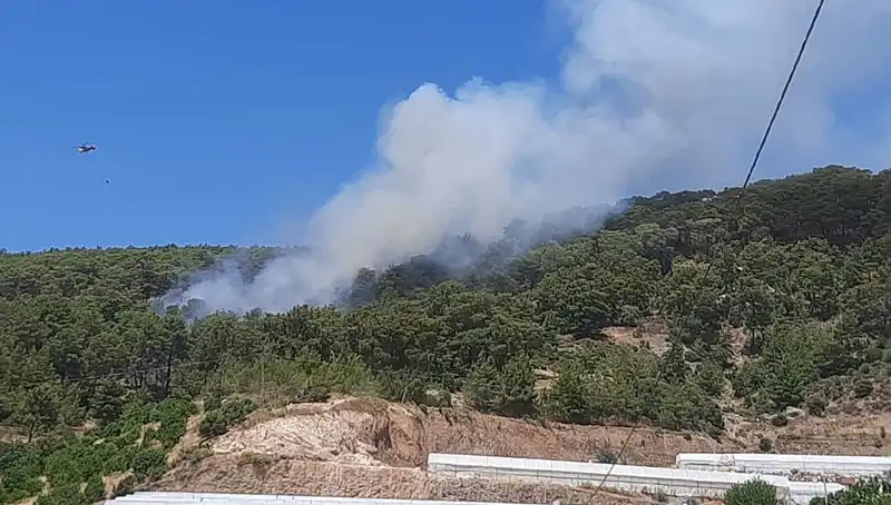 Kumluca'da Orman Yangını: Geceyi Korku İçinde Geçiren Köylüler