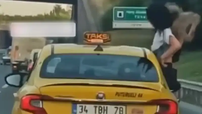 TEM Otoyolu'nda Taksiden Sarkanların Şaşkına Çeviren Görüntüleri