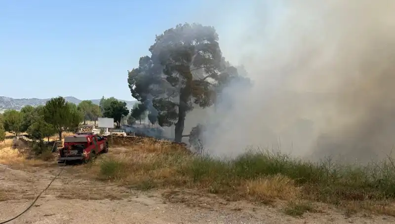 Muğla'da Yangın Alarmı: Ormanlık Alanlar Kül Oluyor!