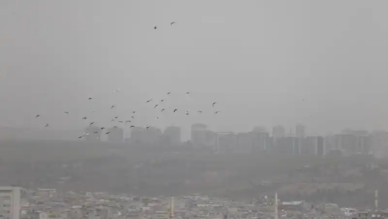 Şanlıurfa'da Toz Bulutu Alarmı: Neler Oluyor?