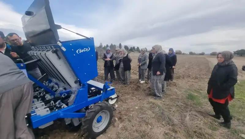 Domaniç'te Ata Tohumu Sarımsak Projesi: Tarımda Yeni Bir Dönem Başlıyor