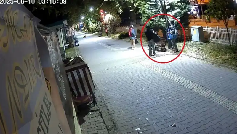 Aydınlatma Direklerinden LED Işıkları Çalan Hırsızlar: Dev Zarara Neden Oldular
