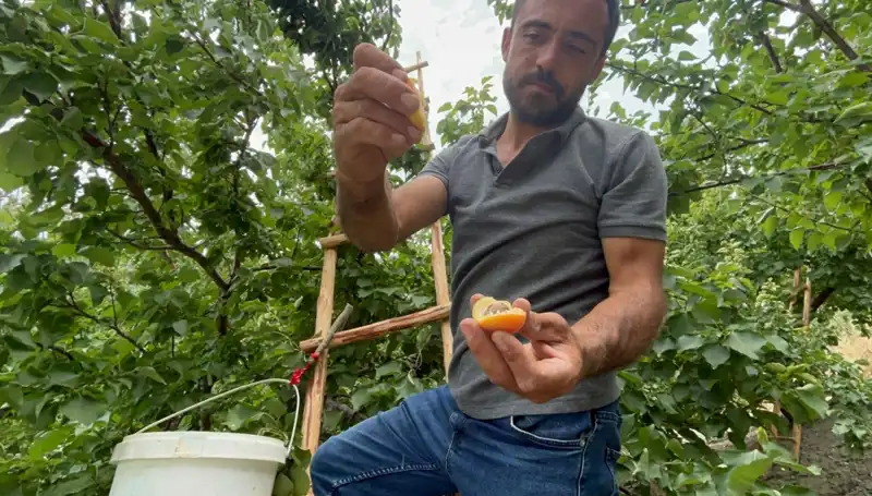Türkiye'nin Yeni Gözdesi: 50 TL ile 70 TL Arasında Lezzetli Bir Deneyim