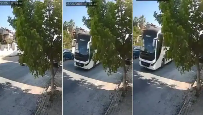 Yolda Yatan Köpeği Ezip Geçen Araç Şokun Sebebi Oldu