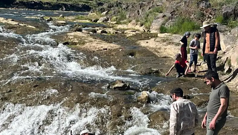 İnci Kefali Göçü: Turizm Cenneti Göllerde Yarattığı Mucizeler