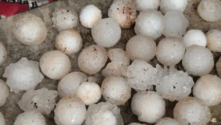 Şanlıurfa'da Aniden Yağmurla Birlikte Kar Topu Büyüklüğünde Dolu Yağdı