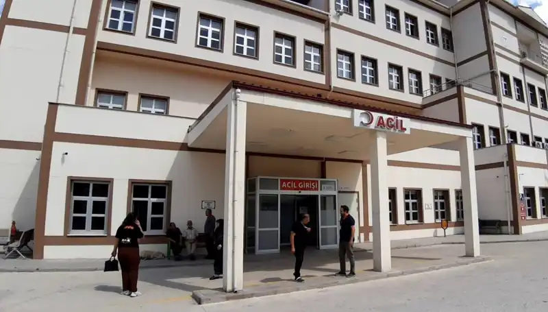Bolu'da Ayı Avı Kararı: Ekosistem Üzerindeki Etkileri ve Tartışmalar