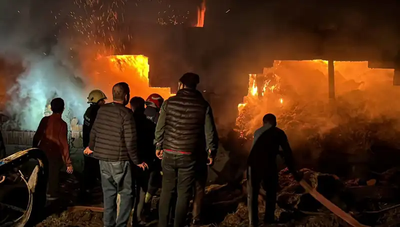 Bolu'daki Ahır Yangını: Can ve Mal Kaybını Kapatacak Amaçlar