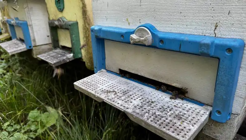 Dedesinin Nasihatleriyle Tarıma Adım Attı: 1 Ton Üretim Hedefi