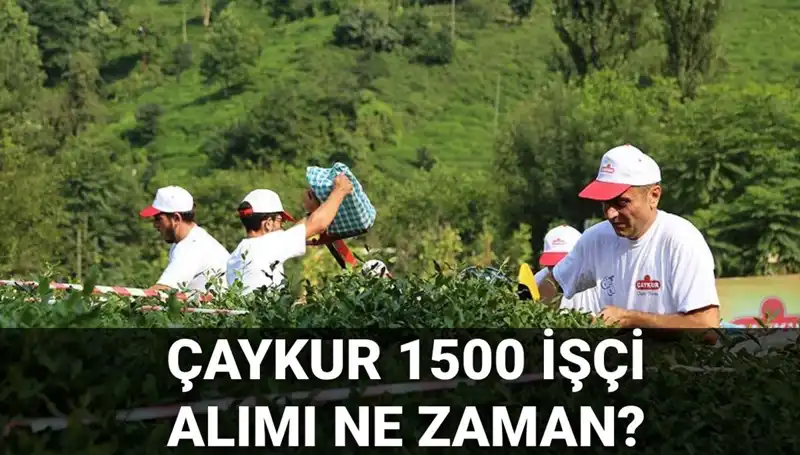 Çaykur İşçi Alımı İçin Başvuru Tarihleri Açıklandı! Son Detaylar