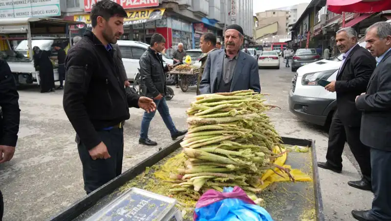 Şekerin Sağlık Faydaları: Kanserle Mücadele ve Mide Hastalıklarına Çözüm