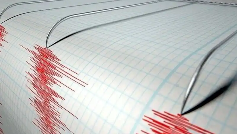 Ege Bölgesi'nde 3.6 Büyüklüğünde Deprem: Neler Oluyor?