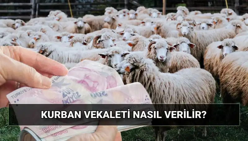 Vekaletle Kurban Kesilir Mi? 2025 Diyanet Vekalet Bedeli Hakkında Bilmeniz Gerekenler