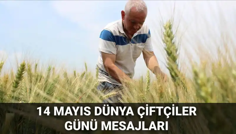 Dünya Çiftçiler Günü’ne Özel Anlamlı Mesajlar 2025: Çiftçilerin Emeklerine Değer Verin