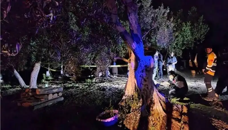 Çiftlikteki Baltalı Vahşete Olayında Şok Tutuklama Gerçekleşti