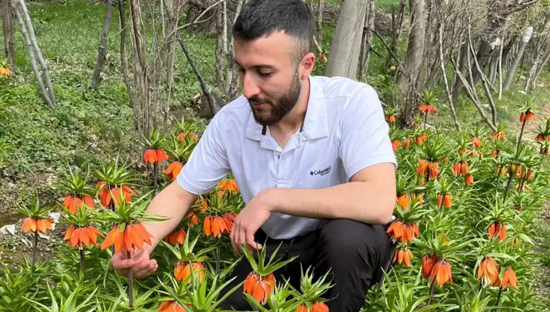 Ağlayan Gelin: 20 Günlük Ömrüyle Doğanın İnanılmaz Güzelliği