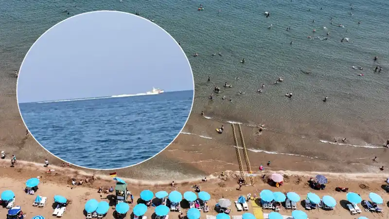 Plajda Köpek Balığı Tartışmaları: Gerçekten Tehlike Var mı?