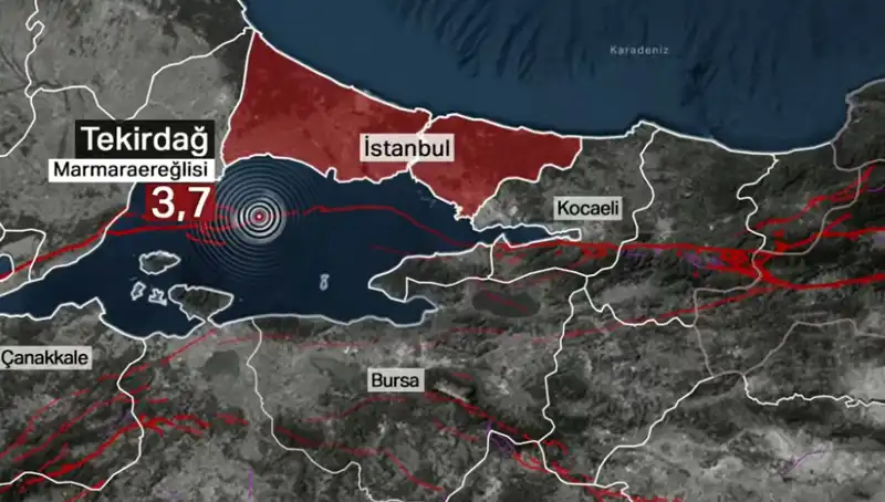 Marmara Denizi'nde 3,7 Büyüklüğünde Deprem: Afet Yönetiminden İlk Açıklama