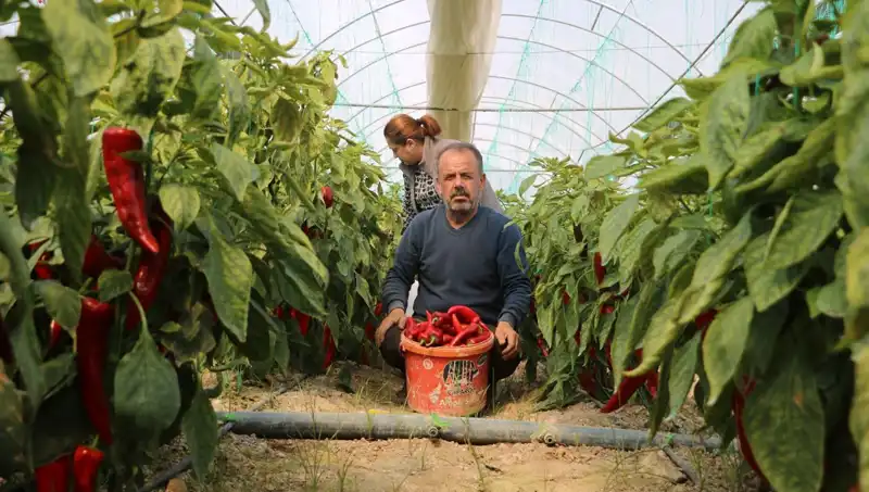Fiyat Artışı Şoke Etti: Bir Üründe Yüzde 50 Zam!
