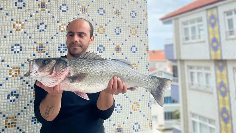 Dev Levrek Avı: 7,5 Kiloluk Balık Denizde Şaşırttı!