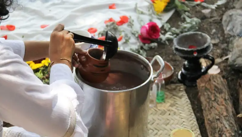 Ayahuasca: Gizemli Bitki Çayı ve Yasal Durumu Hakkında Bilmeniz Gerekenler