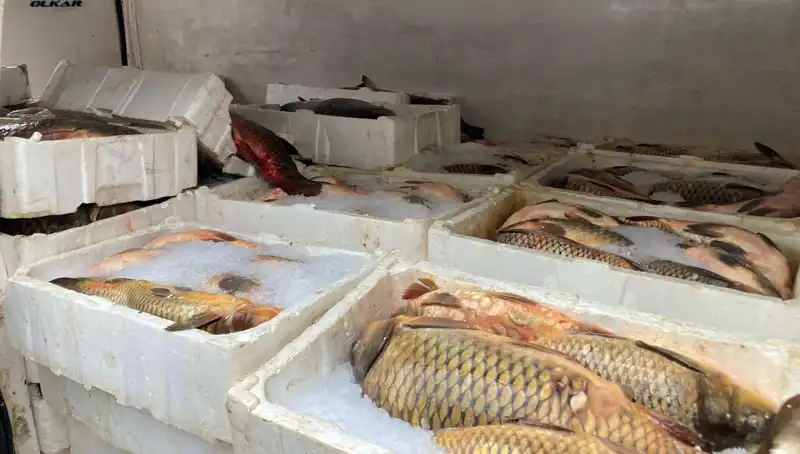 Denizde Kaçak Balık Avına Çıkanlara Şok Ceza: Binlerce Lira!